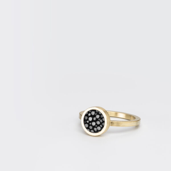 Ring DOT II